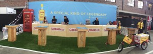 gin-festival-turf-rental